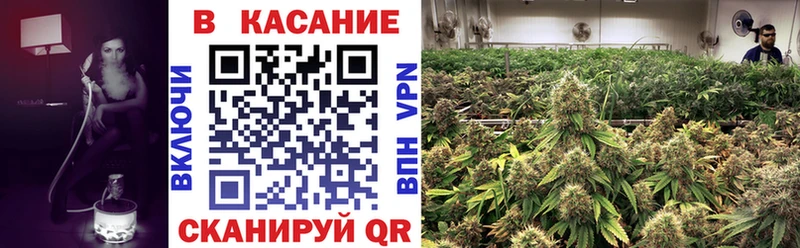 Продажа наркотиков Похвистнево Бошки Шишки blacksprut ССЫЛКА LSD-25 Псилоцибиновые грибы ГЕРОИН Мефедрон Амфетамин Cocaine