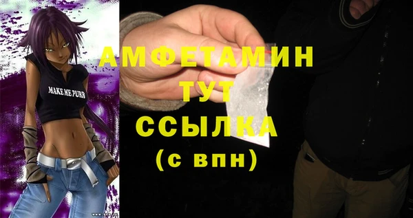 индика Орск
