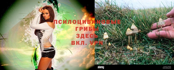 спайс Лихославль