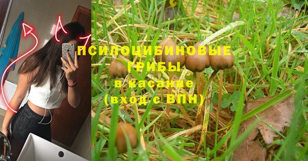 Альфа ПВП Липки