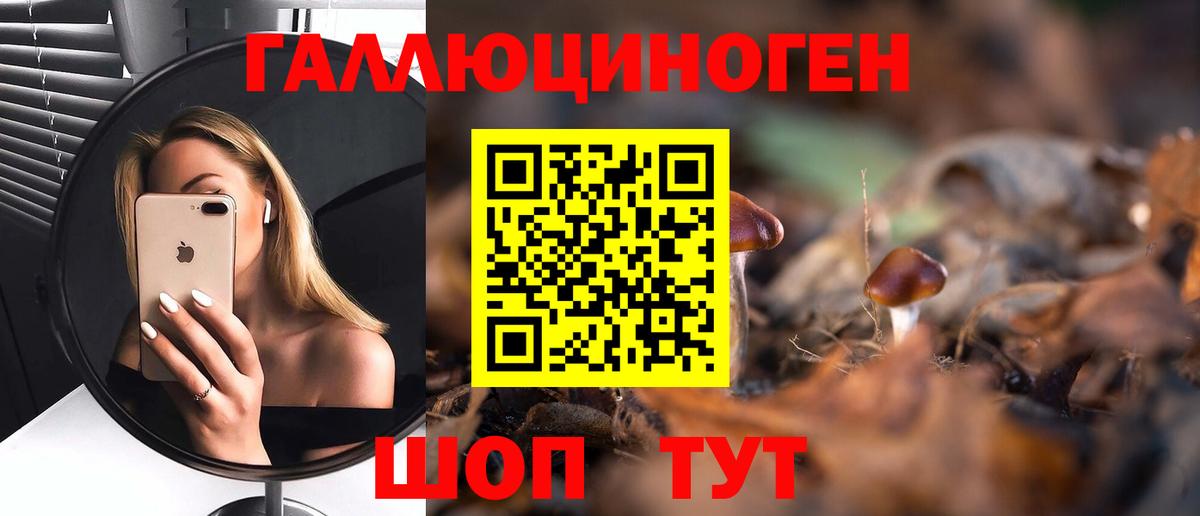 Псилоцибиновые грибы Psilocybine cubensis Похвистнево